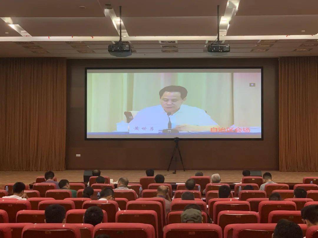 2020年前三季度柳州g_柳州莫菁