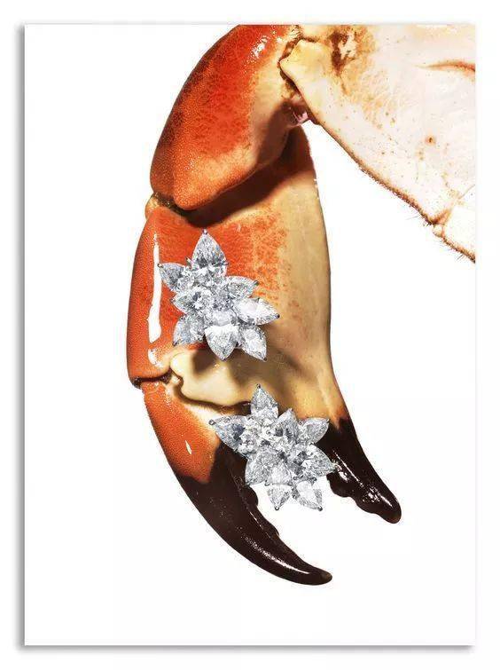 珠宝|这些猫狗身上的珠宝!你居然一件也买不起!!!