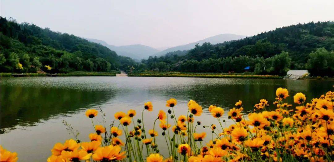 原山|【红色原山】山东原山艰苦创业教育基地｜夏