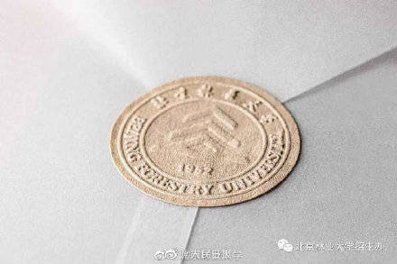 邮件|坚持录取通知书本人当面签收