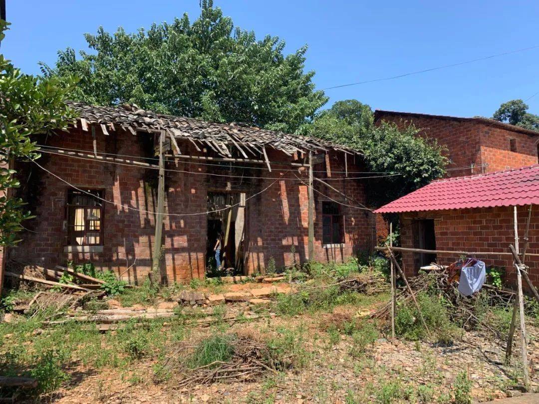 老宅|被羁押9778天后，张玉环无罪释放