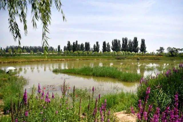 每日一景 美丽宜居的党家河湾村_吴忠市