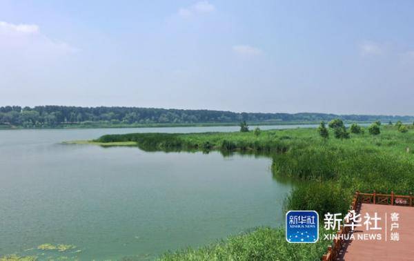 李然|走进潮白河国家湿地公园