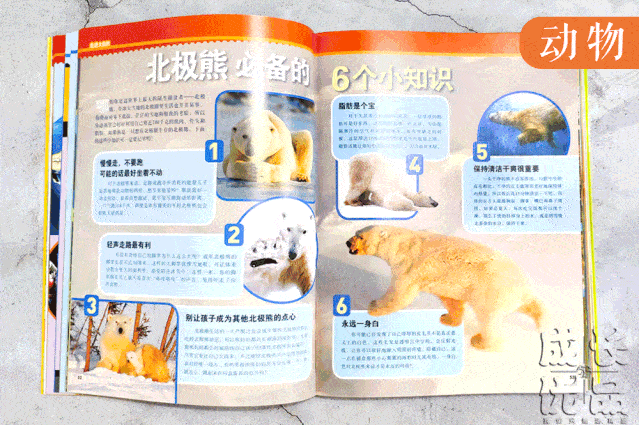 孩子|扔掉电视！一张图说清，7岁以上孩子该读什么书（7岁+）