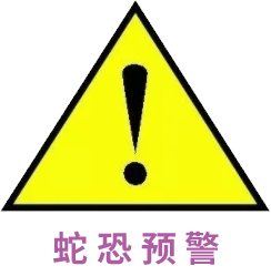 单身|但女儿满天下她母胎单身