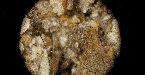 头发|时髦的发型，离不开它 | 好物