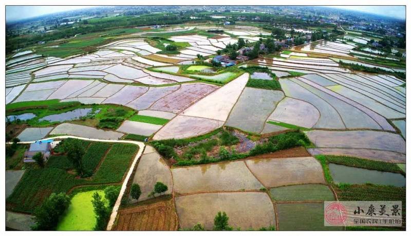 农业|【发言人说小康】希望的田野上——专访农业农村部新闻发言人广德福