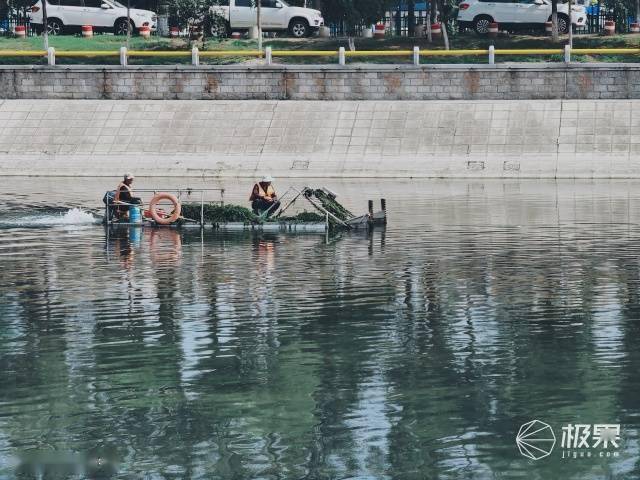 vivo|vivo最强拍照旗舰体验！你与好照片只差一台X50 Pro＋