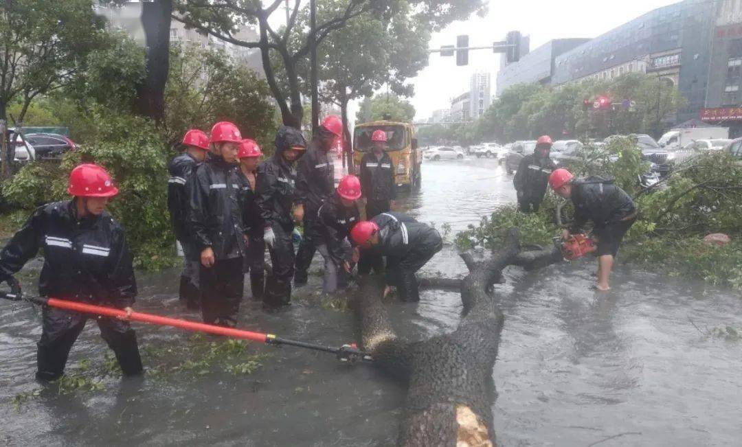 温州机场2020年7月排名9_温州规划布局1个运输机场7个通用机场