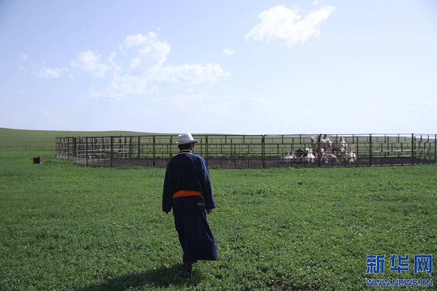 绿色家园|【幸福花开新边疆】“国家的孩子”扎根草原60年 见证绿色家园的变与不变