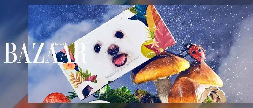 挑花|夏季彩妆挑花眼了?别怕,芭姐帮你选好了!