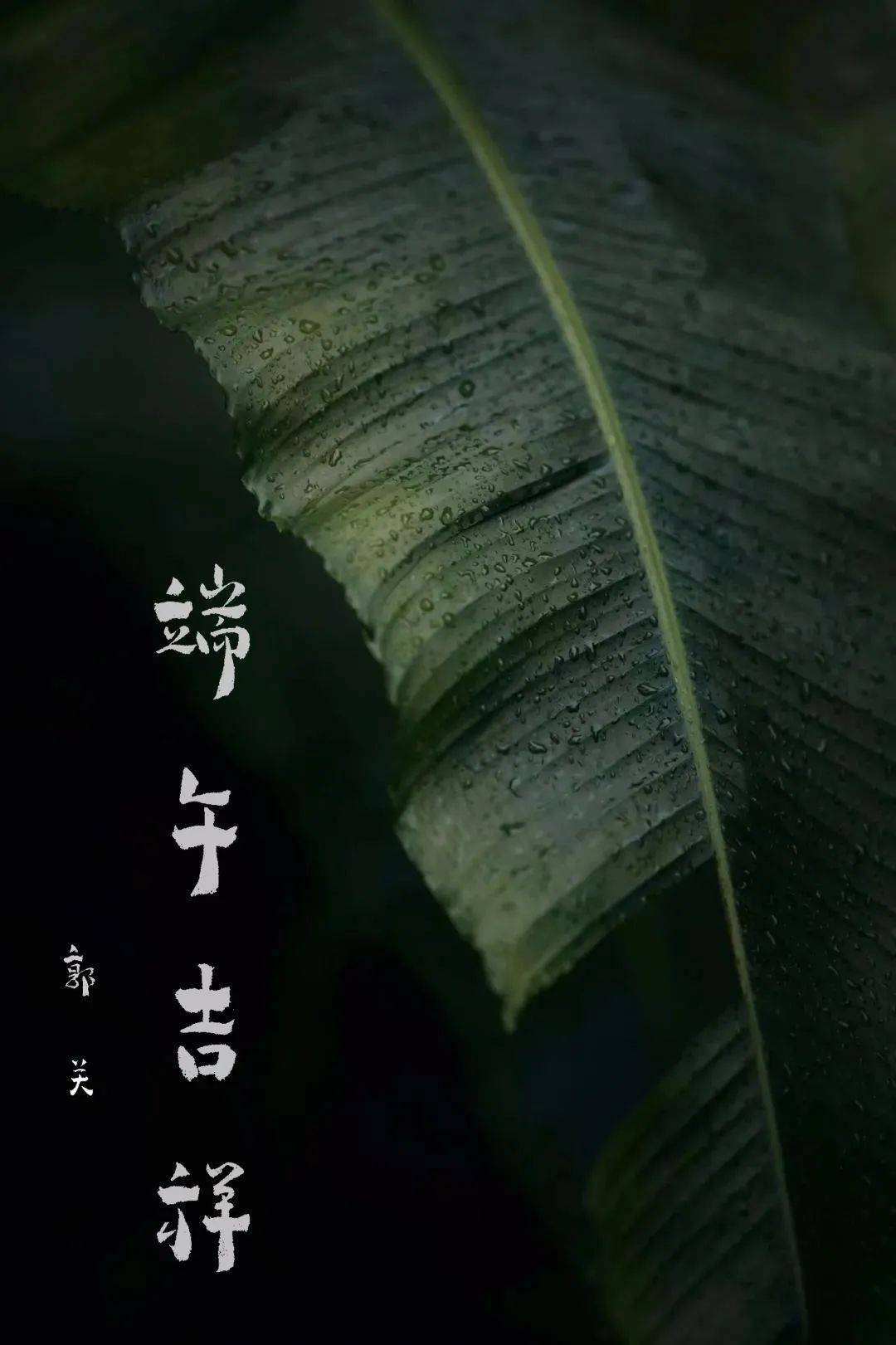 念经的曲谱_和尚念经图片(3)