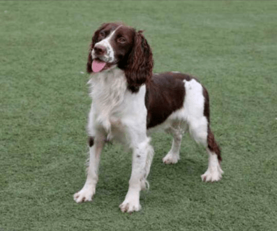 厦门日报社|超嗨！火爆抖音“鬼步舞”夫妇、网红健身达人、炫酷高科技…都来了！必须打卡