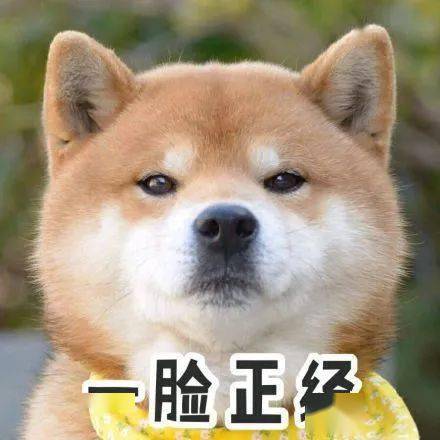 什么|大学里这些红线千万不要踩!否则肯定后悔!