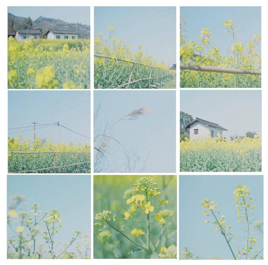 美的|10 款超美的 VSCO 调色滤镜，怎么用都好看！