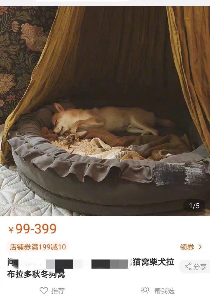 via|迪丽热巴，请抄正确的答案