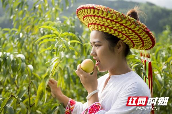 溆浦人口瑶族_溆浦一中活动图片(2)