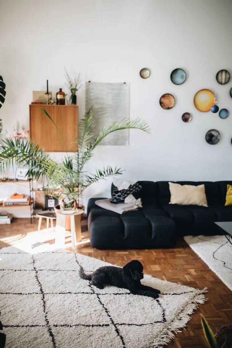 植物|她们的家，美得很让人种草