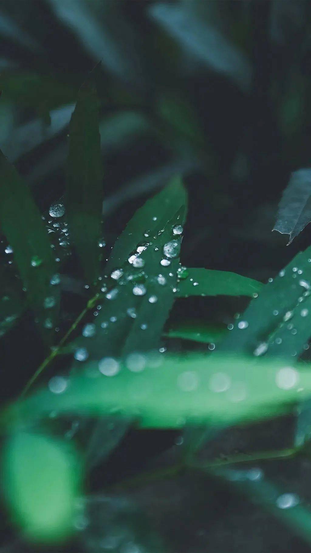 那一切的水月和歌, 虽曾真实存在过, 却已默默流失,这就是无常. 2.