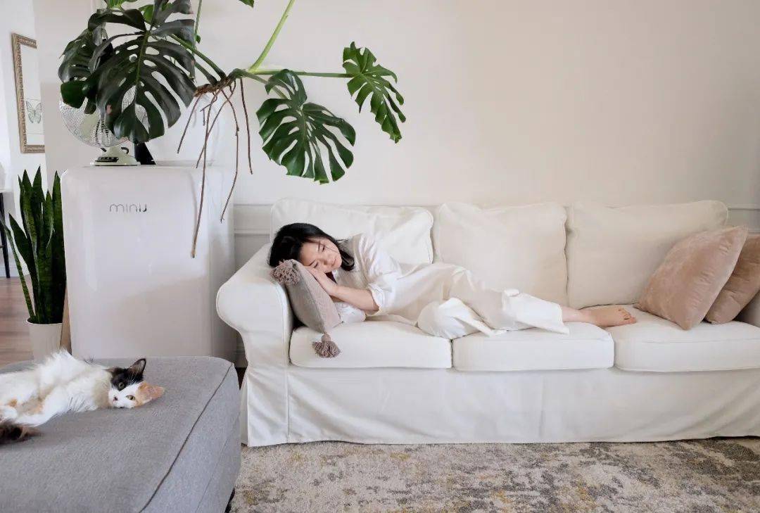 植物|她们的家，美得很让人种草