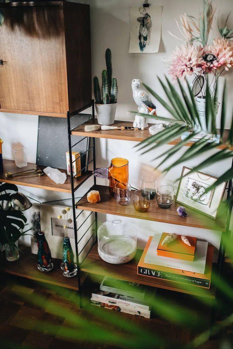 植物|她们的家，美得很让人种草