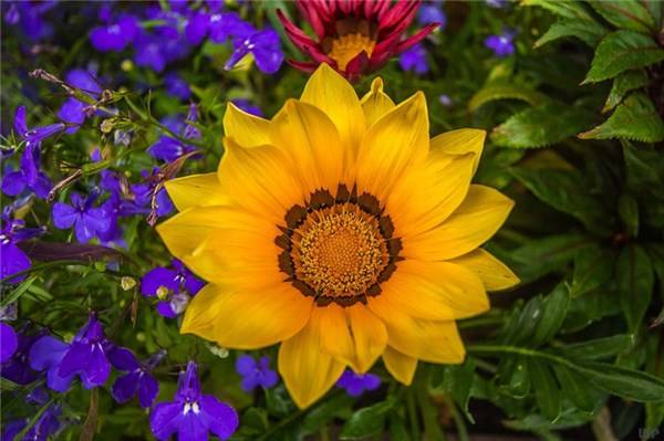 生活|八月最精致的早安心语，经典睿智，元气满满！