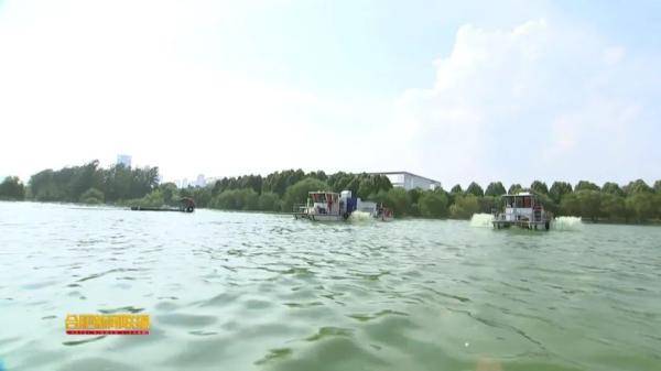 包河区|合肥宣布！全面打响清除巢湖蓝藻攻坚战！