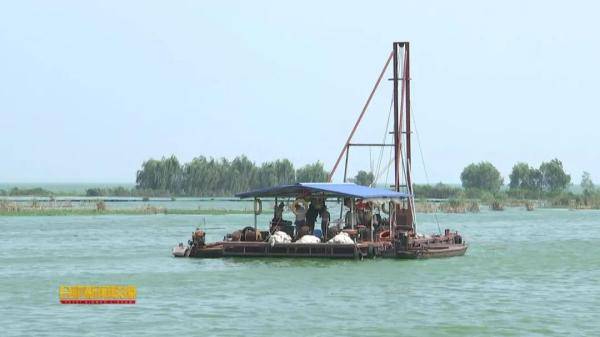 包河区|合肥宣布！全面打响清除巢湖蓝藻攻坚战！