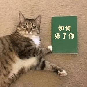 477bb6da8e9c44de836d4d23333bbebb.gif