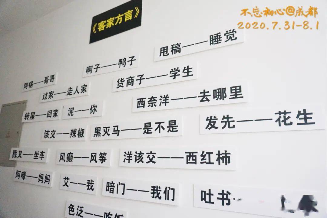 总人口初估