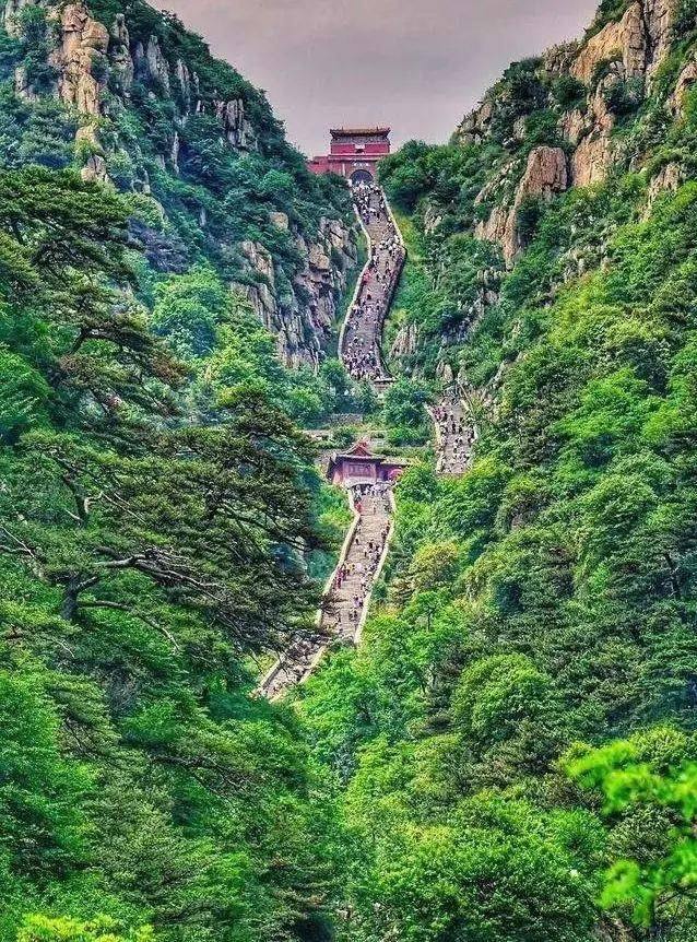 山东|10天，7000万+！你还在等什么