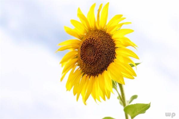 福气|人到中年，学会避开以下3种苦，福气自来余生更幸福！