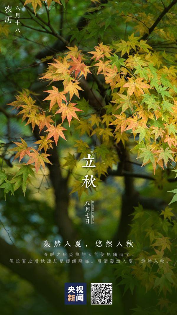 夏尽|立秋丨挥手送夏，扬手迎秋