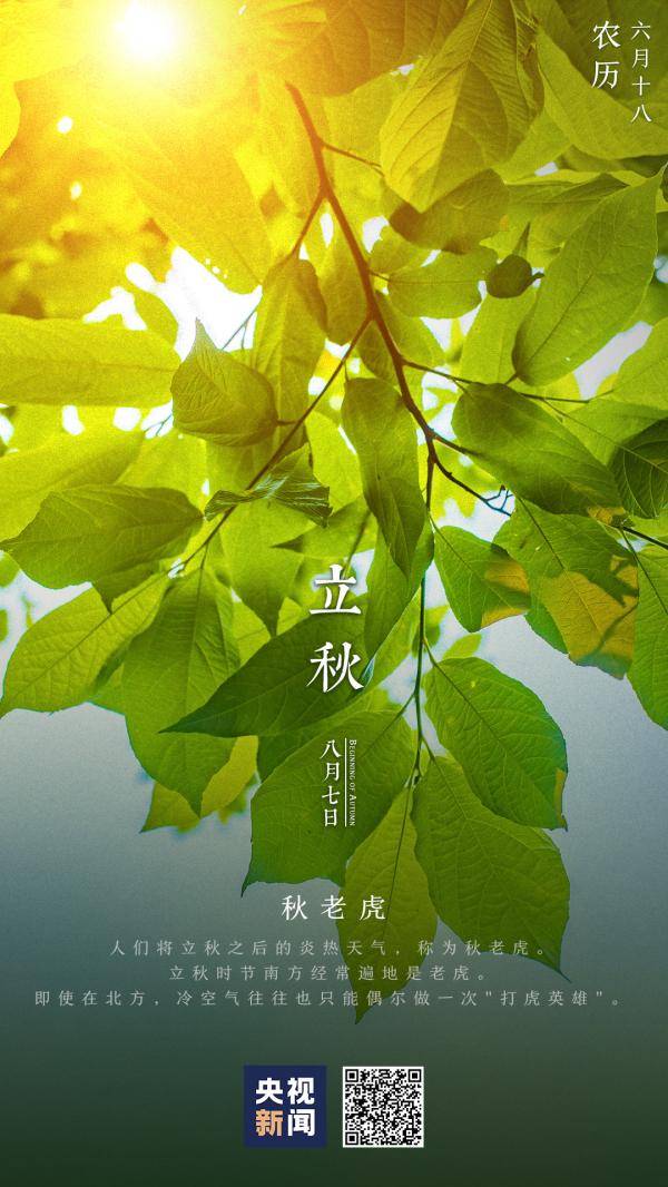 夏尽|立秋丨挥手送夏，扬手迎秋
