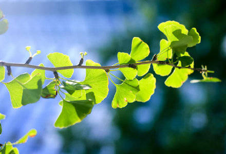 季节|镜头：今日立秋！季节换了名字，依旧风光如故！