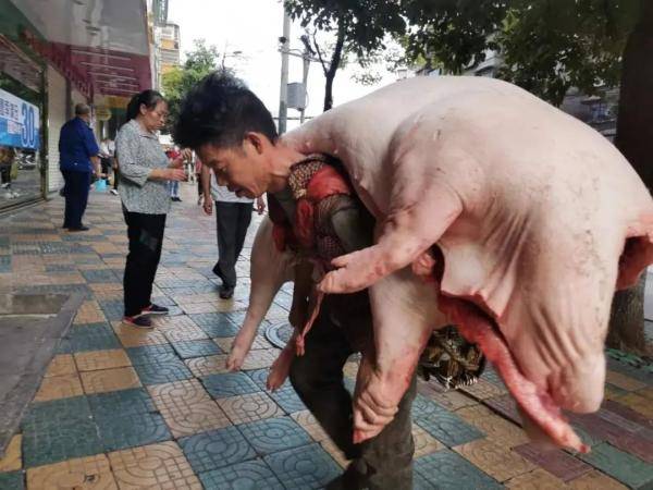 力气|硬核！110斤男子一趟扛起480斤猪肉，用双肩养活一家七口