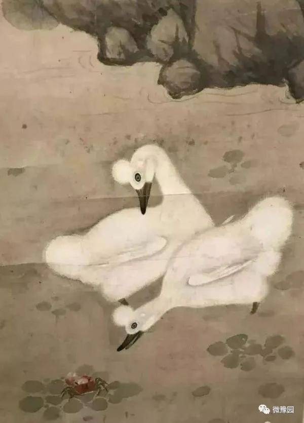 白鸭|【探索】上海豫园迎来到四只“珍稀古禽”，大家来看鸭！