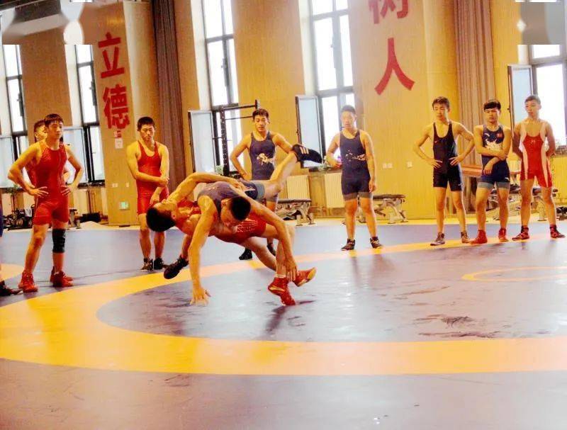 市训练中心组织观摩古典式摔跤训练公开课