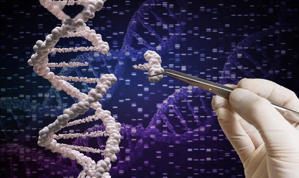 2020年美国计算机研_2020年美国大学计算机系统专业研究生排名(2)