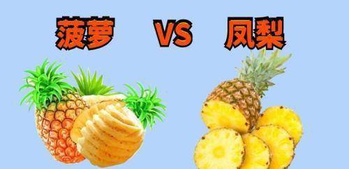 菠萝怎么吃不会扎嘴 b5785611ac9d47e585508fd65ef75f88.jpeg
