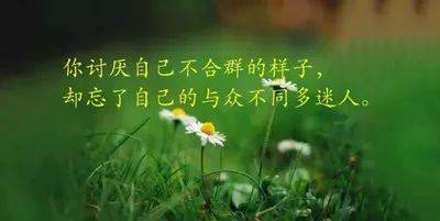162c65302a454801a90b61db4aaa8d7b.jpeg