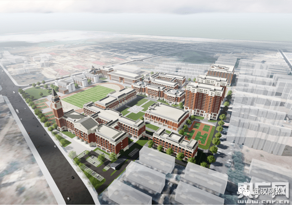 蔡甸gdp_武汉蔡甸火神山医院(2)