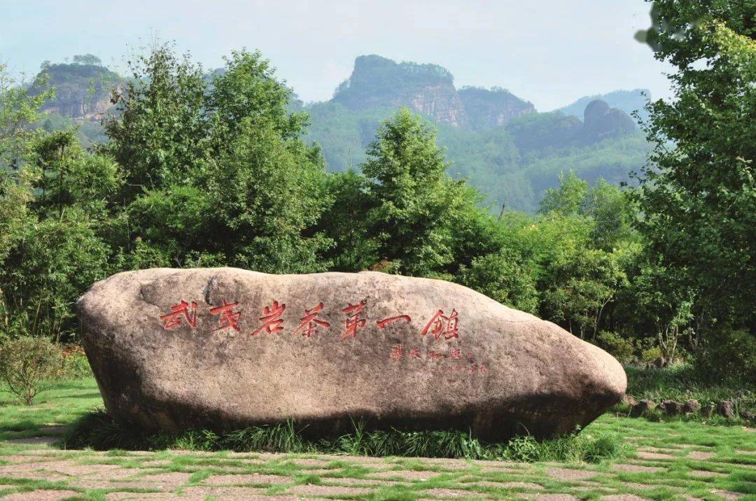 走进武夷山 感受山水美