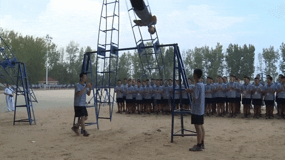 海军|平均分超一本线49分！海军招飞这两个数字值得关注