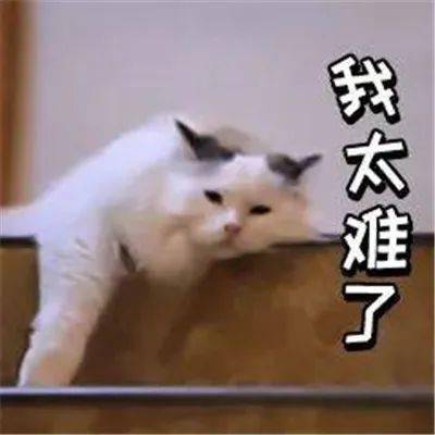 孩子小学英语666，上初中后英语成弱科，该怎么办？