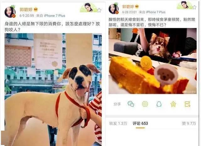 郭碧婷|抄袭服装卖天价，这位豪门公子哥可真敢要！