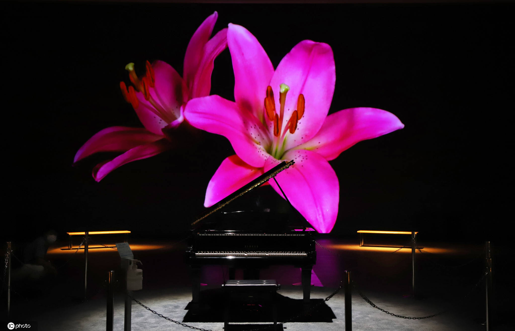 钢琴|日本科学未来馆推出酷炫装置 钢琴AI自动弹奏与背景交相辉映