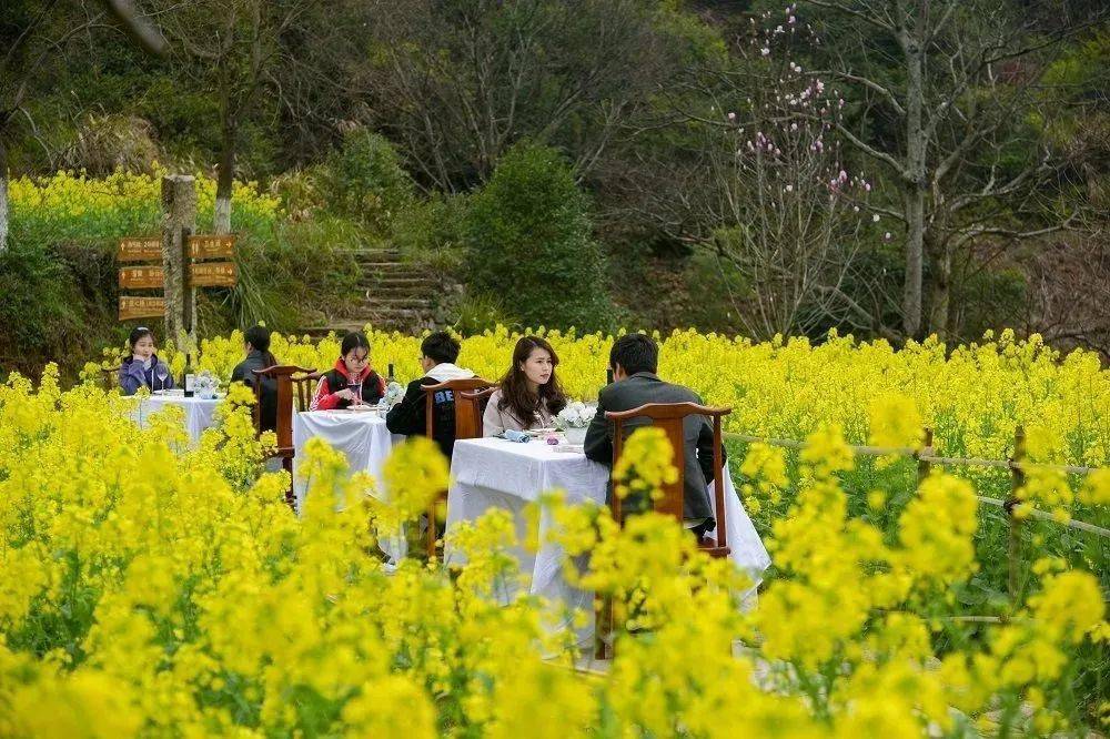 婺源老总讲_婺源写生速写