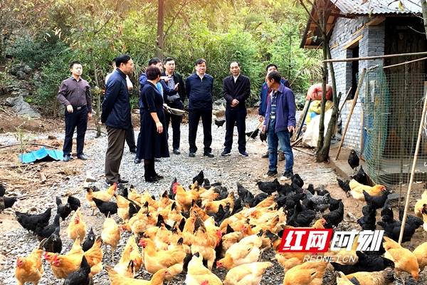 扶贫|湖南省浙江总商会：教育扶贫照亮贫困学子成才路