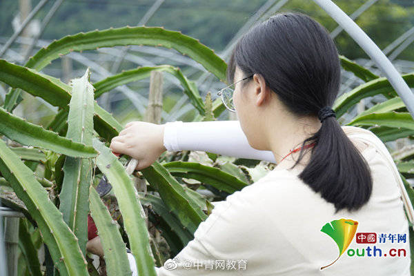 直播|10分钟销量破千元！从采摘到直播，大学生助力农民增收
